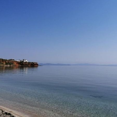 דירות ראפינה Summer House With A Pool Near Sea, Port & Airport מראה חיצוני תמונה